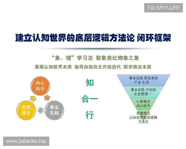 企业家冒险精神在现代商业竞争中的重要性与实践探索