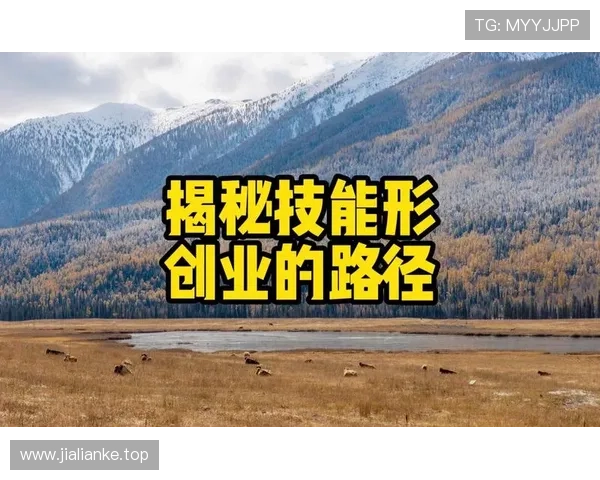 从企业家精神到成功路径：揭秘创业背后的奋斗与智慧